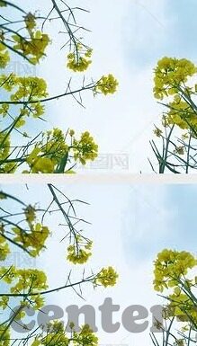 秦可欣麻豆文化传媒-秦可欣，麻豆文化传媒中的闪耀新星